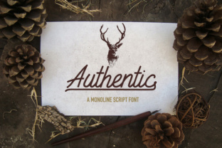 Authentic Font Elevates Campaign Creativity