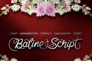 Baline Script: A Versatile Script Font for Editorial Design