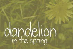 Dandelion in the Spring for Editorial Design and Creative Branding