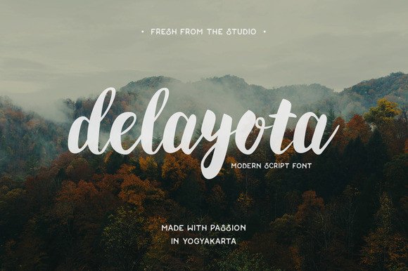 Delayota: A Bold Script Font for Creative Design