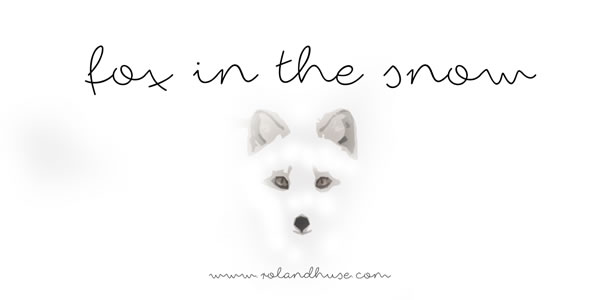 Fox in the Snow Font for Professional Branding