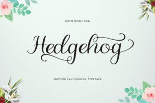 Hedgehog Script Font for Creative Campaigns