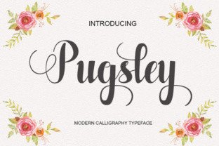 Pugsley: A Handwritten Font for Elegant Branding and Creative Design