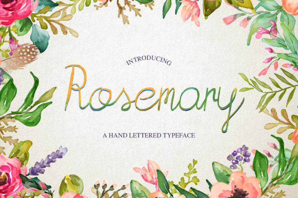 Rosemary Font for Creative Campaigns and Branding