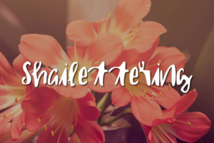 Shailettering: A Script Handwritten Font for Warm, Personal Branding
