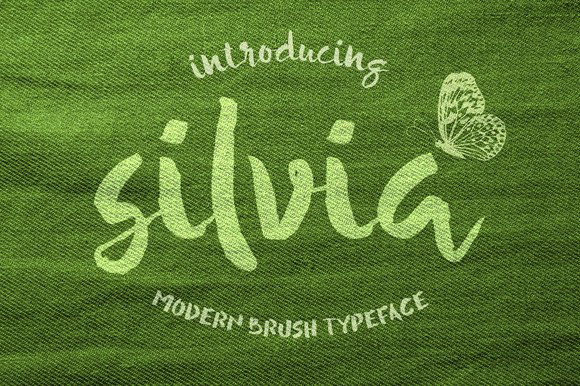 Silvia Font for Laid-Back Branding and Creative Projects
