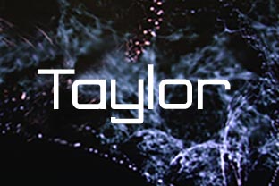 Taylor: A Versatile Sans Serif Font for Digital Marketers and Designers